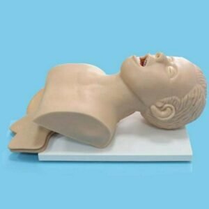 MEDICAL TRAINING KIT WITH HUMAN MANNEQUINS FOR MEDICAL EDUCATION OR TRAINING