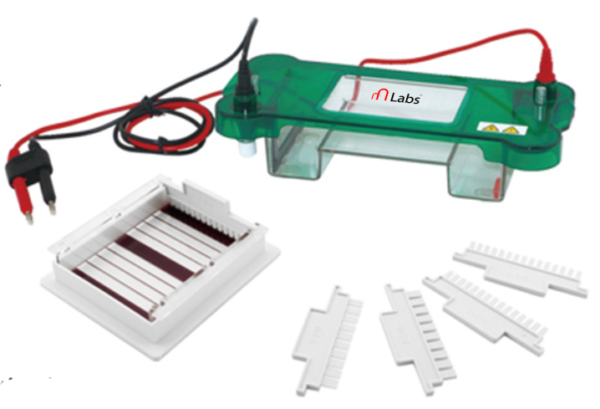 mLabs-SPBT Horizontal Electrophoresis