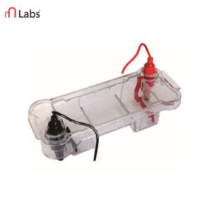 Electrophoresis Apparatus